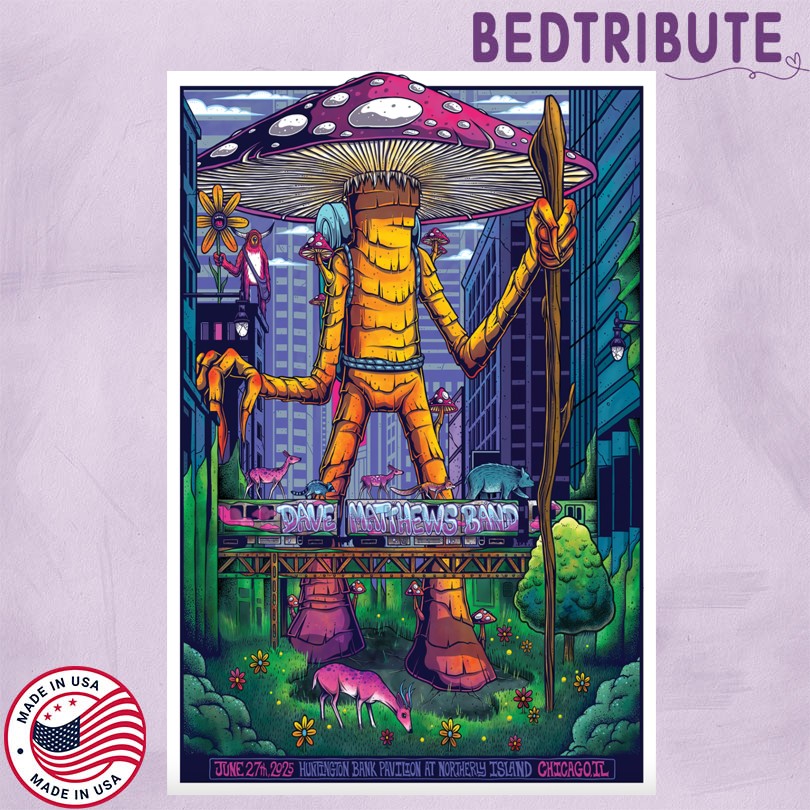 Dave Matthews Band Tour 2025 Jun 27 Chicago, IL Poster